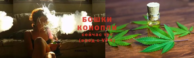 Конопля Bruce Banner  Аксай 